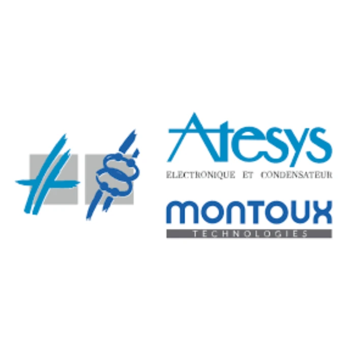 logo atesys
